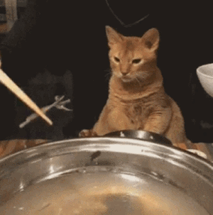 搞笑gif图:孩子们,爸妈喊你们回家收玉米了!