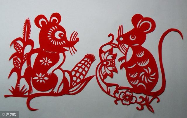 属鼠人的感情,今年会有大转折,6月会出现有缘人!