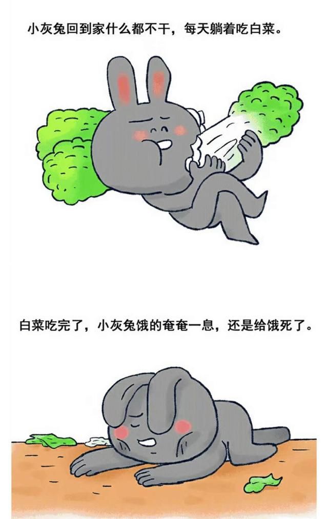 漫画:小白兔和小灰兔的故事,看懂你就长大啦