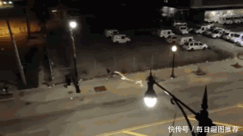 搞笑gif图:行行出状元,大哥真是碰瓷界的佼佼者!