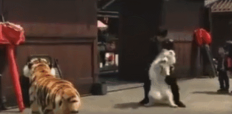 大王爆笑gif趣图:妹妹你坐船头噢哦,哥哥我岸上走