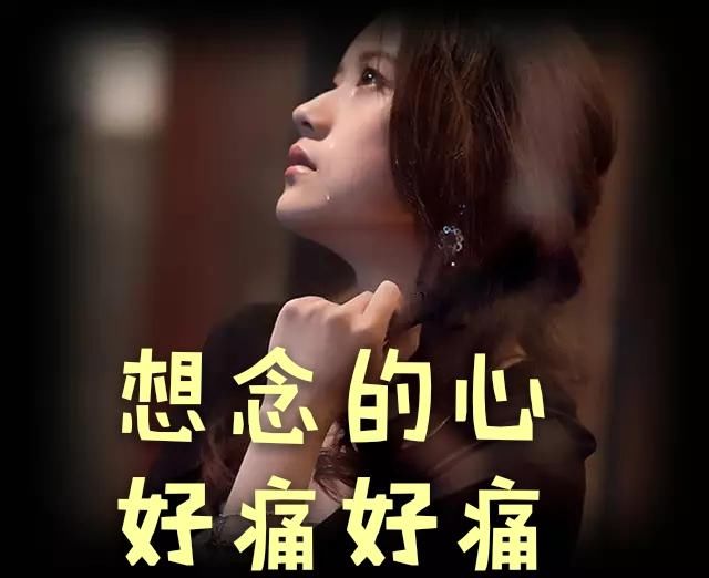 在乎着一个人,爱着自己的爱,痛着自己的痛,默默承受别离的想念