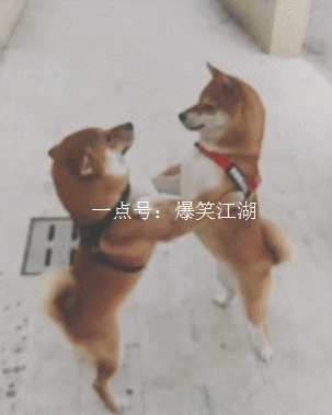 爆笑gif: 姑娘深藏不露啊,都是高手!