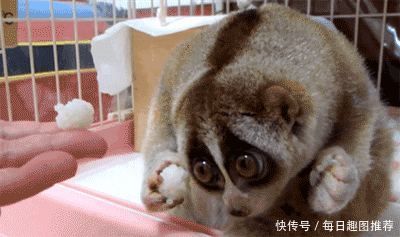 搞笑gif:妹子你在干什么,这东西是不是很好玩