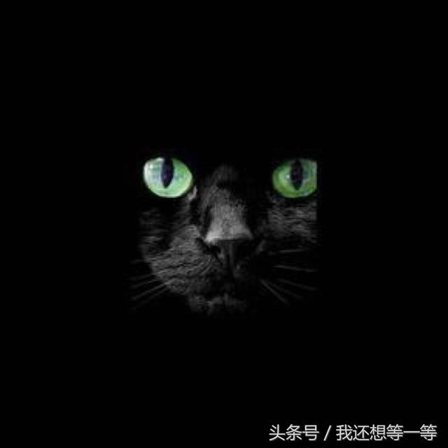 万万没想到!