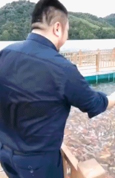 搞笑gif:妹子上车方式太霸气,一脚踢翻男票,自己也摔倒啦!