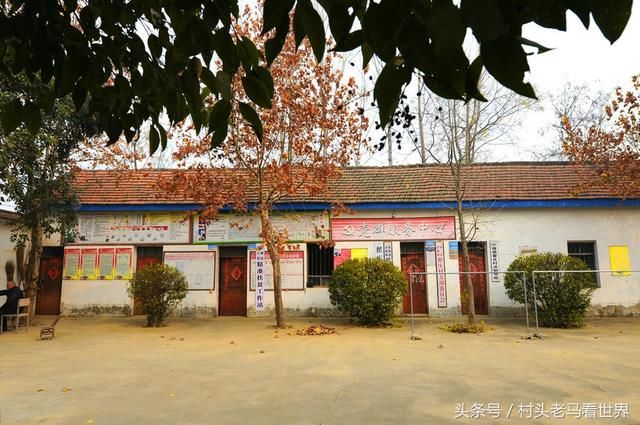 南阳农村:新野县沙堰镇翟庄村,村里有座龙泉寺