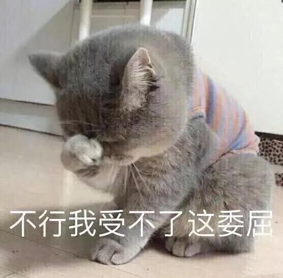 无论从撩妹的情商,还是写作业的智商来看,我们都会被踩在地上摩擦