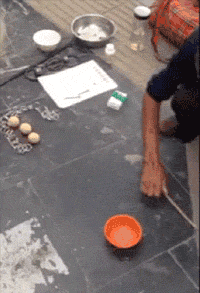 搞笑gif图片:主人我和拼了,你把我当什么了!