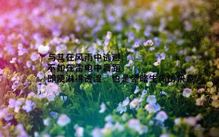 9月最新励志语录 早安励志句子图片