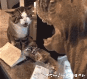 搞笑gif图片:就想问问那个下手的妹子和她是不是有仇