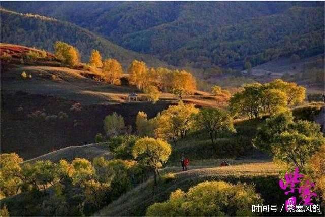 乌兰布统蛤蟆坝上小贾农