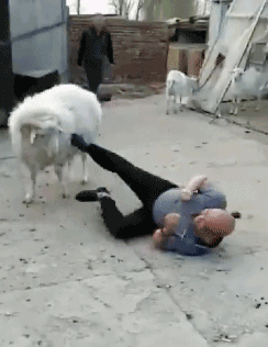 幽默段子:去买睡衣,纠结于买睡裙还是睡裤