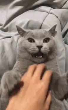 搞笑gif:妹子这扮相,就问你像不像一只猴?