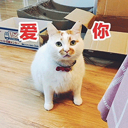 长按保存到相册,或直接发给朋友即为