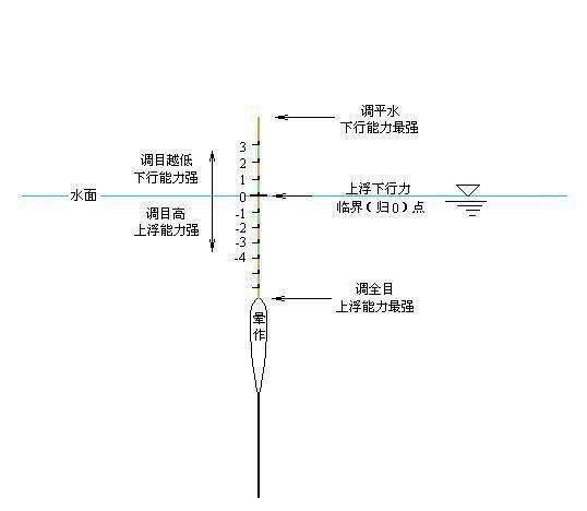 高手野钓鲫鱼怎样调漂,告诉你一个绝招,调目与钓目的关系