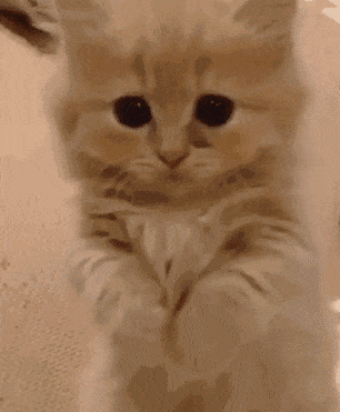 女儿要钱时 儿子要钱时   女儿肯定要的多