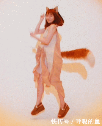 好可爱的小狐狸