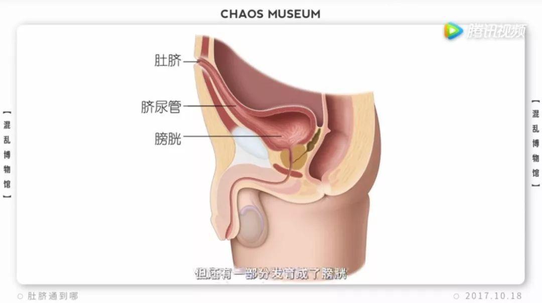 江湖传闻,不能抠肚脐眼,不然肠子会烂掉.