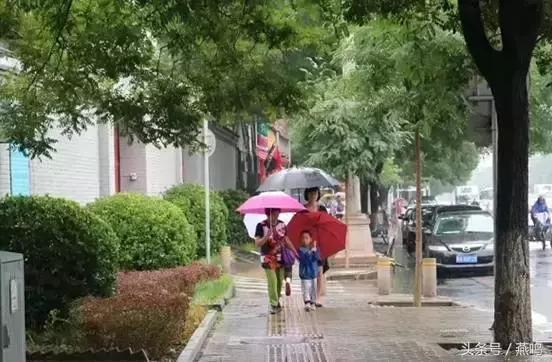 最美的不是下雨天,是雨天伞下的陪伴