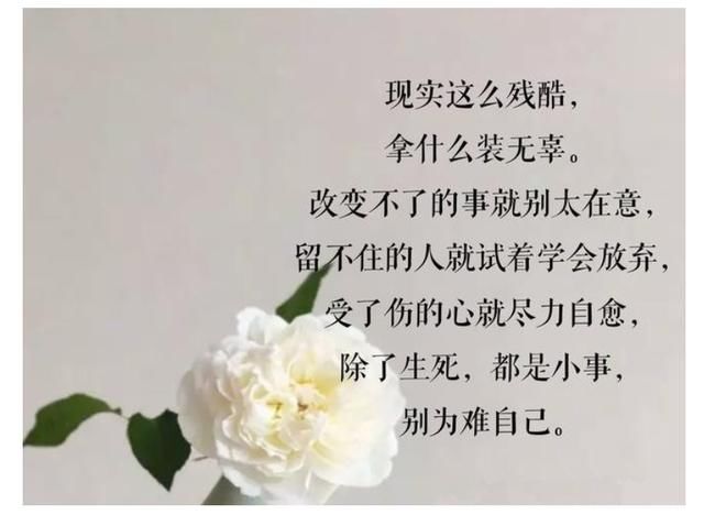 善良,要有个度,过于善良就是傻!(句句说到心坎里)