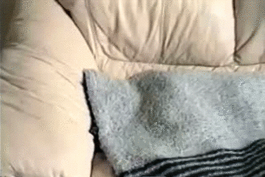 【搞笑趣图:单身狗已瞎】