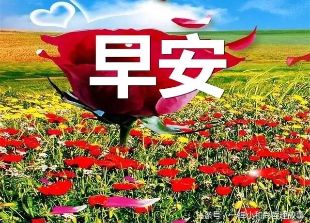 早上好,3月10今天是个好日子,送你十全十美的祝福!