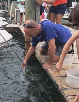 搞笑gif:我感觉等会这个落水的孩子,应该会挨打吧