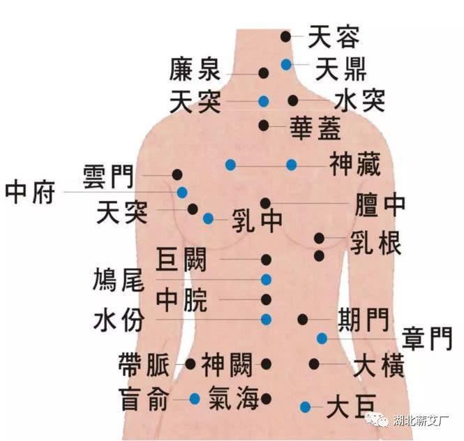 功效:生动牵连,筋骨,神经,穴道,使肺部达到舒畅,以及内脏正常,女人