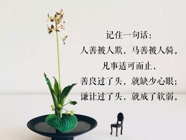 过于善良就是傻!说到心坎里!6句难听的古训,话糙理不糙!