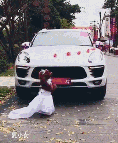 搞笑gif:小时候没人跟你玩的时候,你的表情就是这样