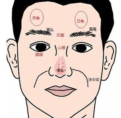 鼻骨直起上入脑,是名伏犀骨中宝,两眉无势气枯稿,纵居富贵不到老.