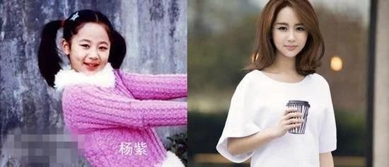 杨紫~  