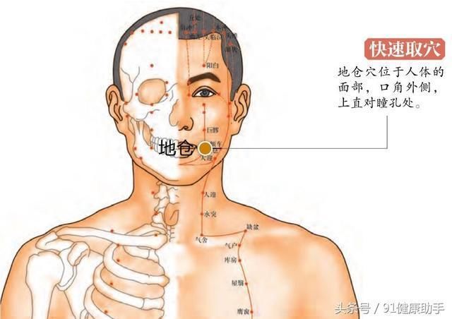 穴位养生|面部神经麻痹,痉挛,口歪按地仓穴 明眸亮眼特效穴