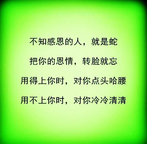 蛇暖不热,狼喂不熟,人心永远看不懂!(句句戳心)
