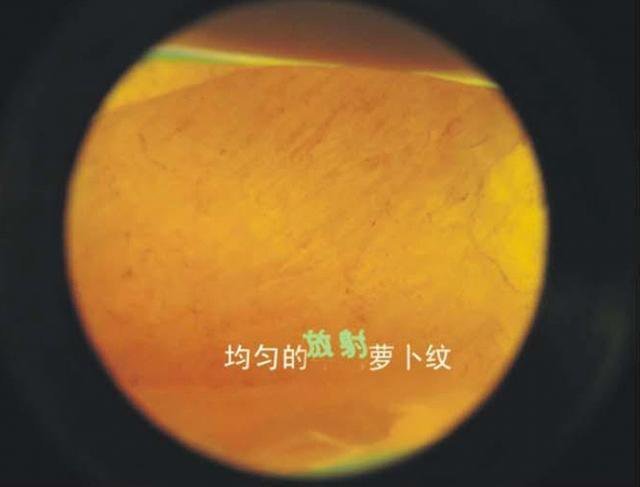 光学显微镜下细微的田黄萝卜纹