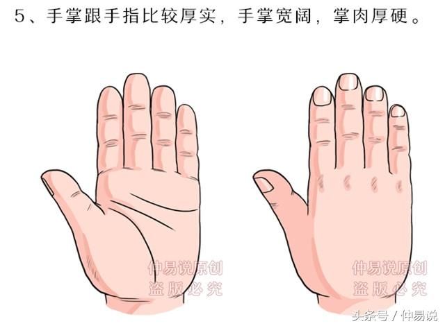 有冒险性,为人诚挚,任事独立,敢作敢当,性格固执急躁易怒,在感情上也