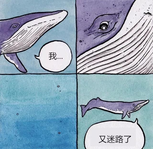 散播负能量人人有责:轻度暗黑的一组漫画