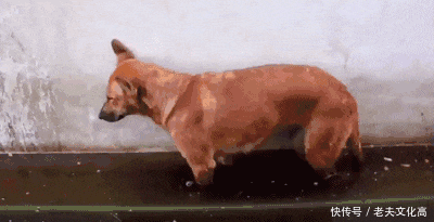 搞笑gif: 练跳舞的妹子们, 下课间玩出了新高度!