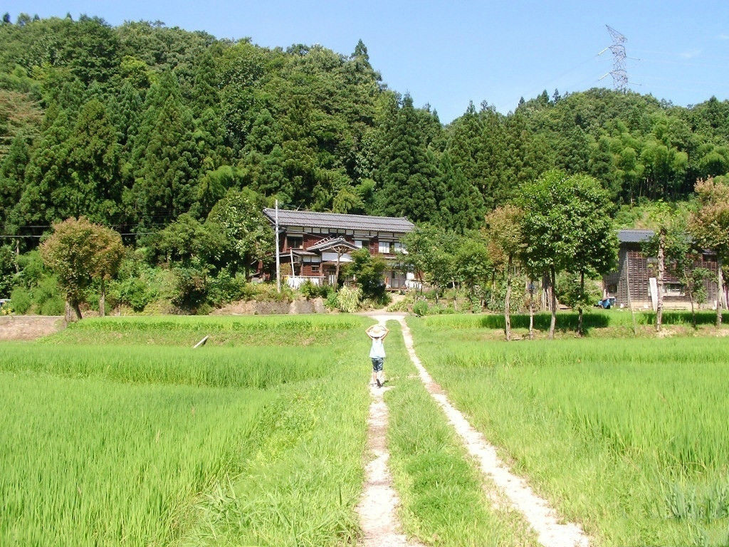 实拍:日本农村的日常生活,干净整齐和先进程度让人大跌眼镜