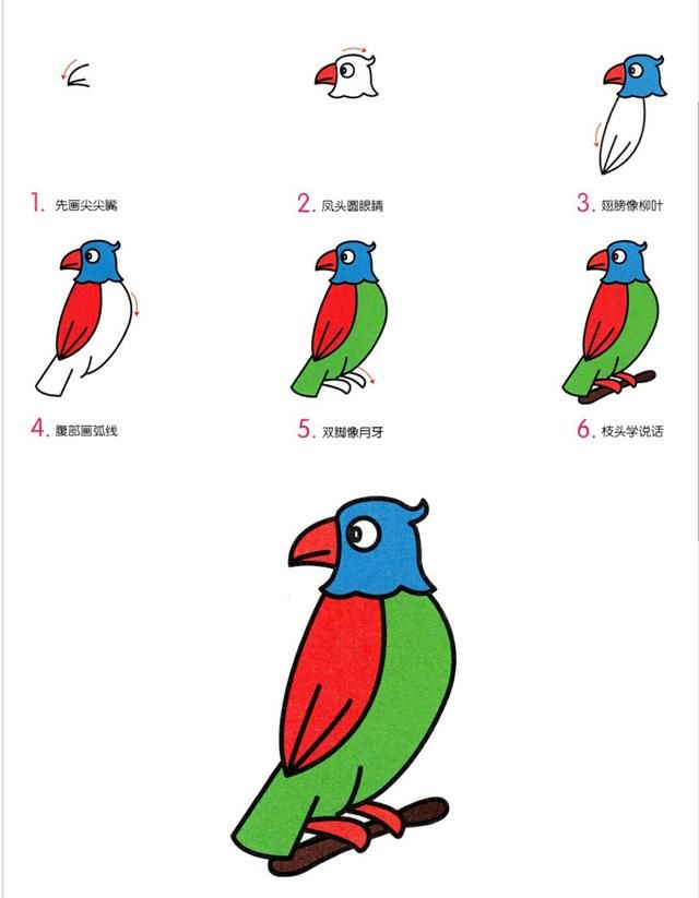 育儿简笔画,10种常见禽鸟类动物,看一遍就能学会!
