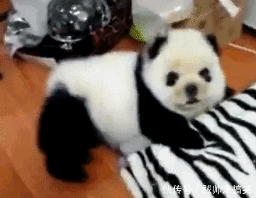 爆笑gif: 美女一开口,宝宝的心拨凉拔凉滴啊-北京时间