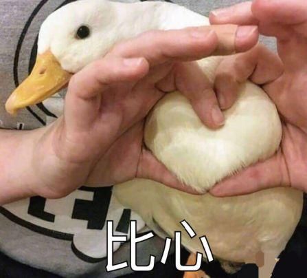自打谈了恋爱我就没换过头像,直到女友看到这些网红鸭表情包