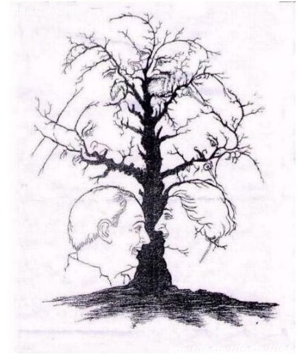 这棵树上你能找到几张脸?