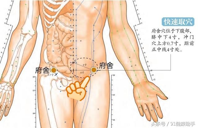 穴位养生|腹痛,疝气,吐泻按揉府舍穴, 健脾理气,散结止痛