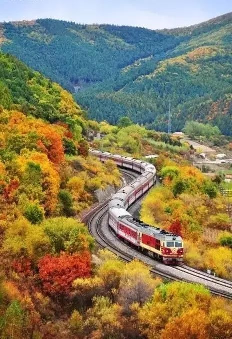 我见过的最美风景,是在这趟开往秋天的绿皮火车上