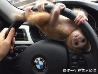 姑娘休要淘气了,这样说话很不礼貌哦!