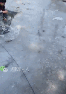 逗比之间的竞争 总是乐趣无穷