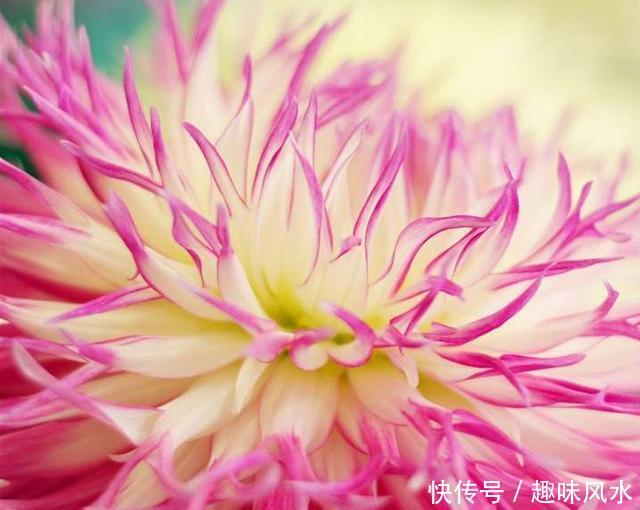 生这些日子的女人,美貌又有福,男人娶了有好运