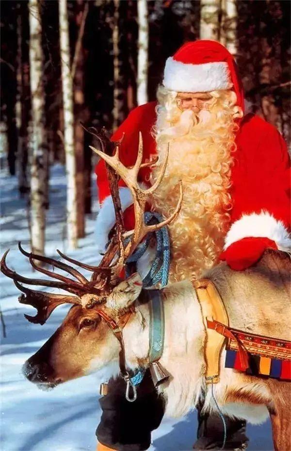 去芬兰,和圣诞老人,麋鹿一起过个圣诞节.